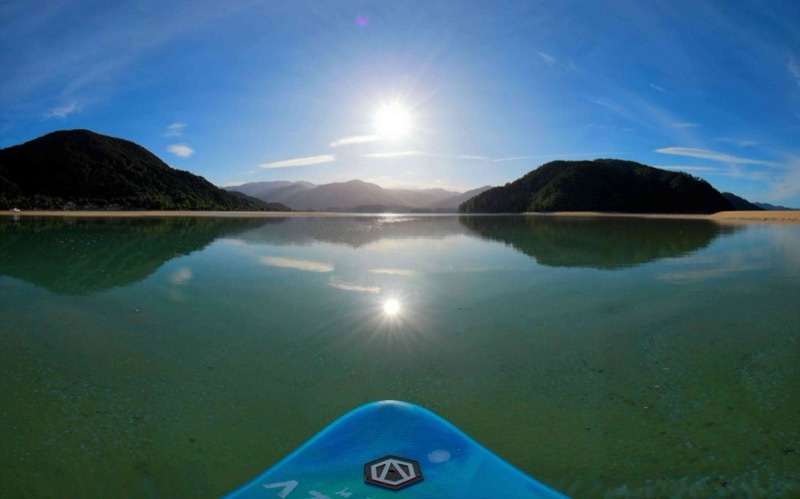 In Search of Stingrays