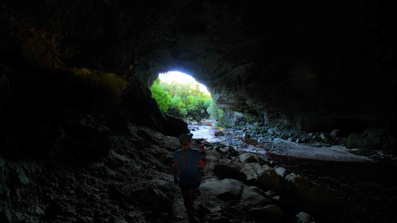 Jungle Cave Exploration