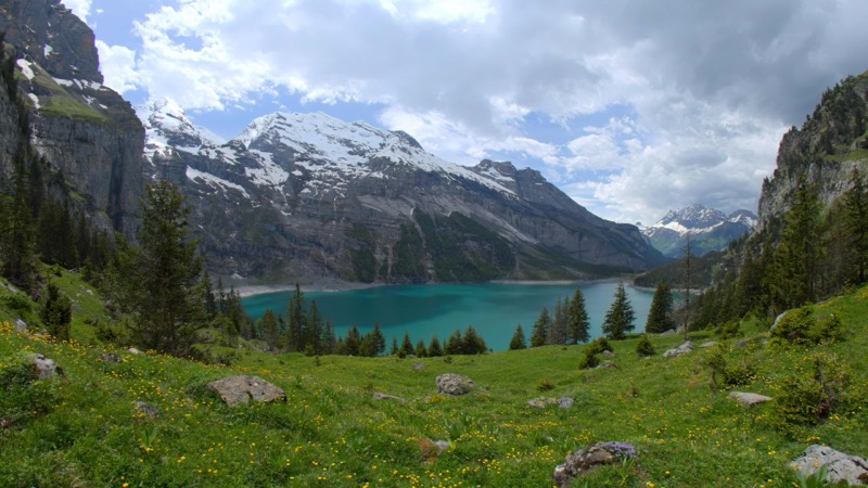 Oeschinen Lake Meadow