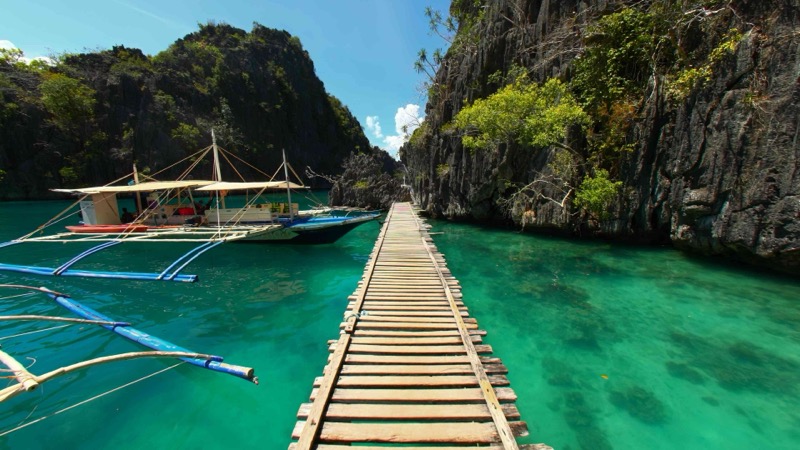 Tropical Lagoon Boardwalk